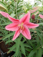 [4368 Vancouver DJ No02.JPG]